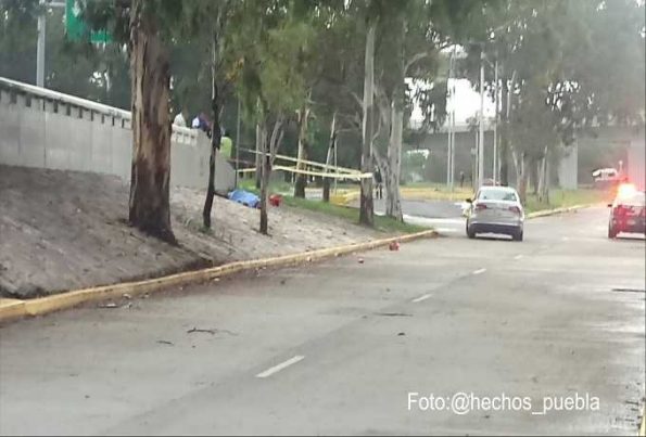 ejecutan