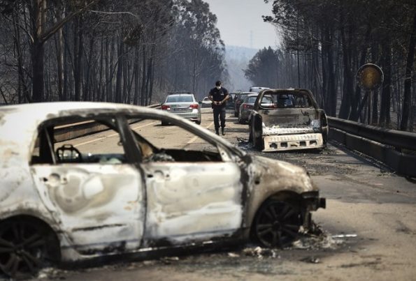 A policeman walks on a road past burnt cars after a wildfire in Figueiro dos Vinhos on June 18, 2017. A wildfire in central Portugal killed at least 57 people and injured 59 others, most of them burning to death in their cars, the government said on June 18, 2017. Several hundred firefighters and 160 vehicles were dispatched late on June 17 to tackle the blaze, which broke out in the afternoon in the municipality of Pedrogao Grande before spreading fast across several fronts. / AFP PHOTO / PATRICIA DE MELO MOREIRA