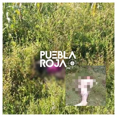 Habitantes de Mazapiltepec localizan cuerpo descuartizado… era devorado por perros