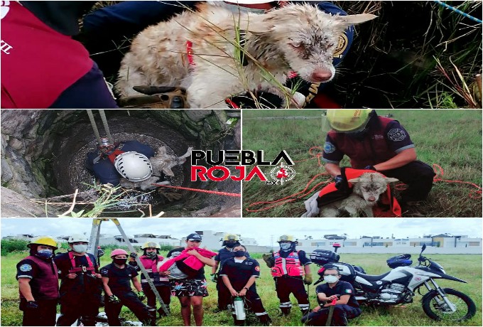 WhatsApp Image 2020-09-27 at 11.59.25 AM