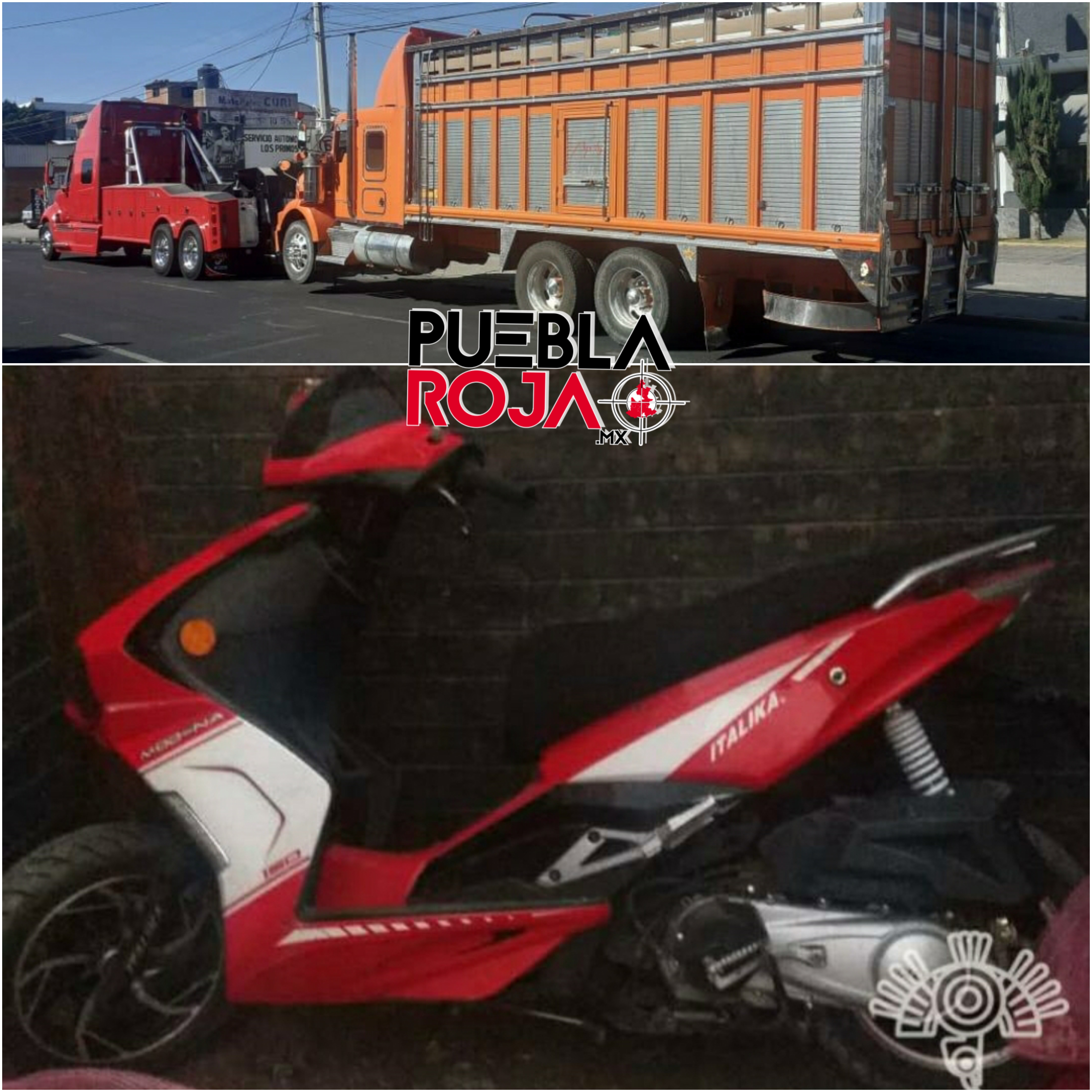 pixlr_20210203094056347