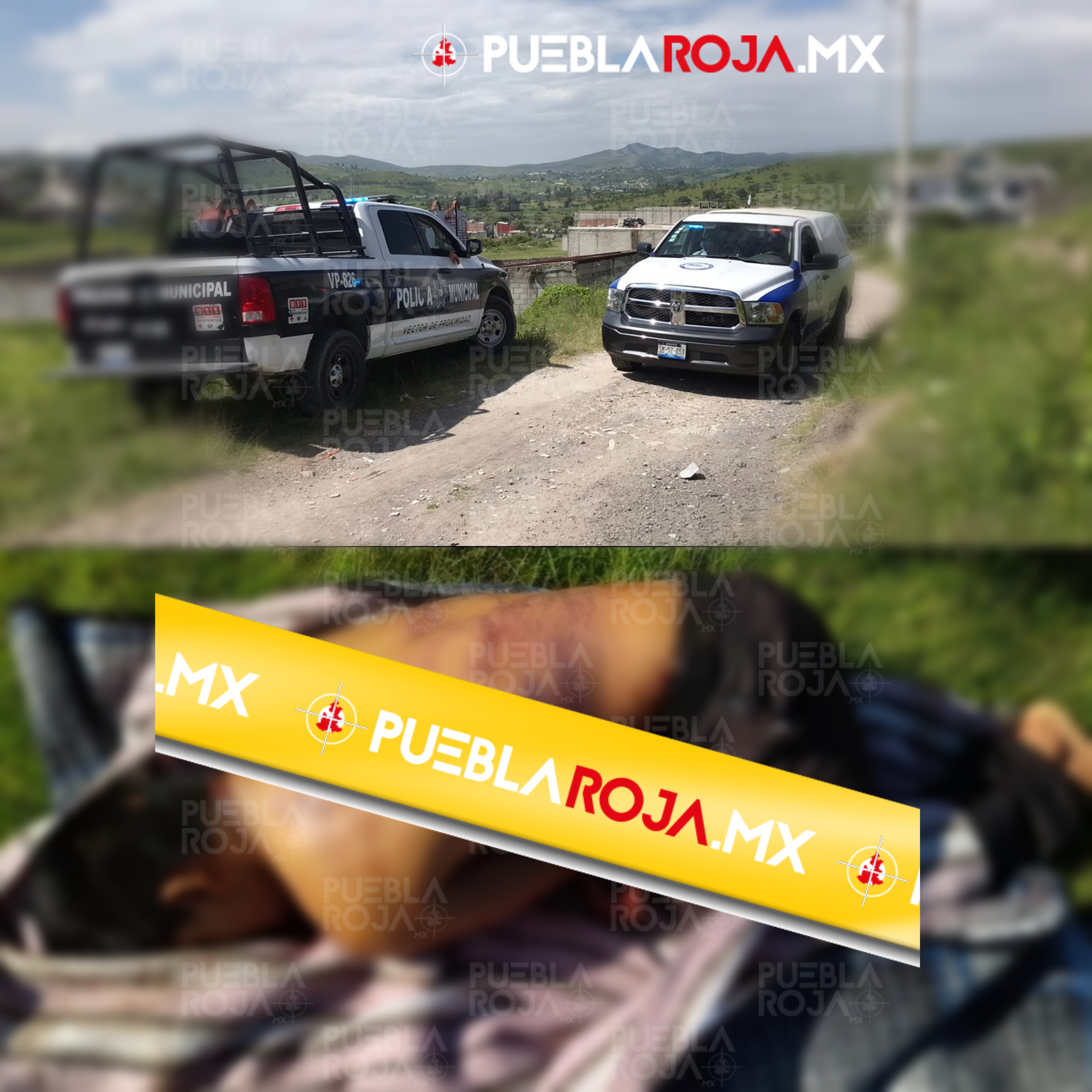 pixlr_20210722142208365