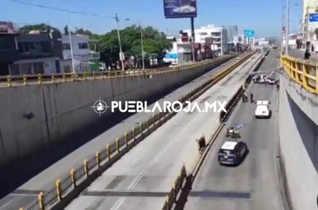 WhatsApp Image 2021-08-01 at 3.36.34 PM