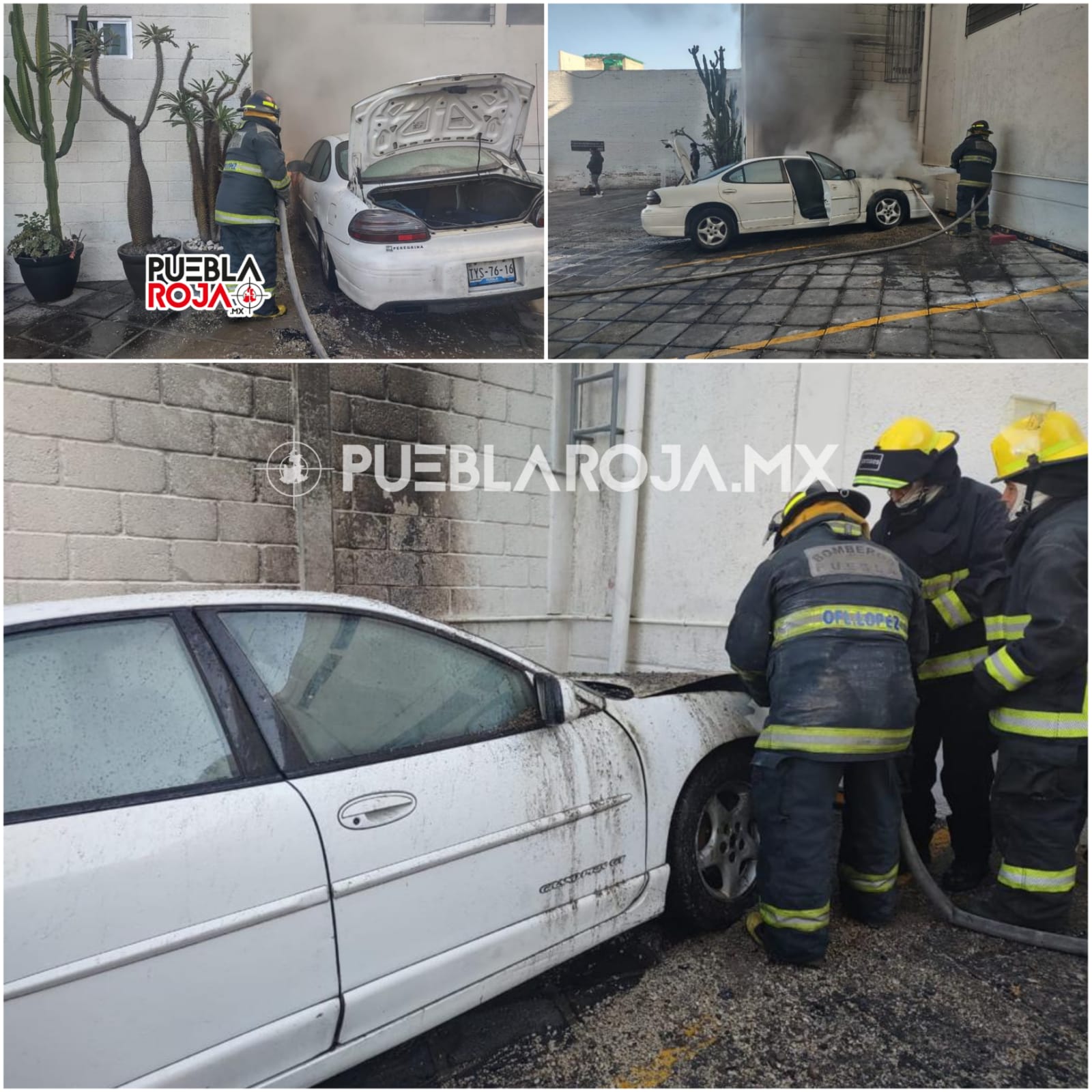 WhatsApp Image 2021-12-22 at 10.47.42 AM