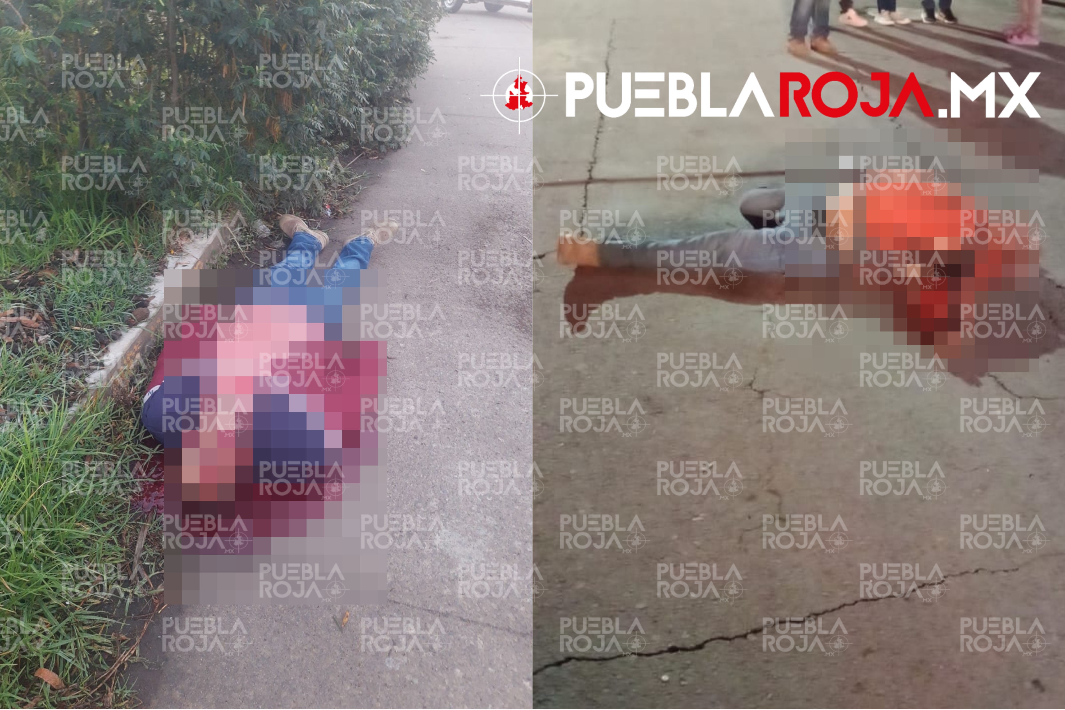 Picsart_23-06-04_22-03-21-929