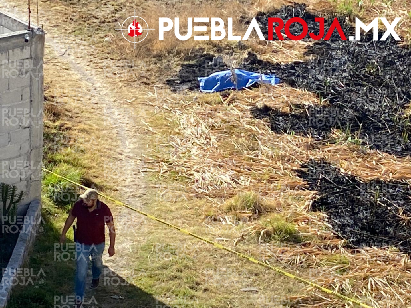 Picsart_24-02-13_17-56-18-384