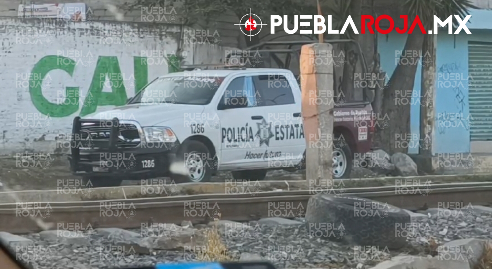 Picsart_24-05-28_21-55-50-079