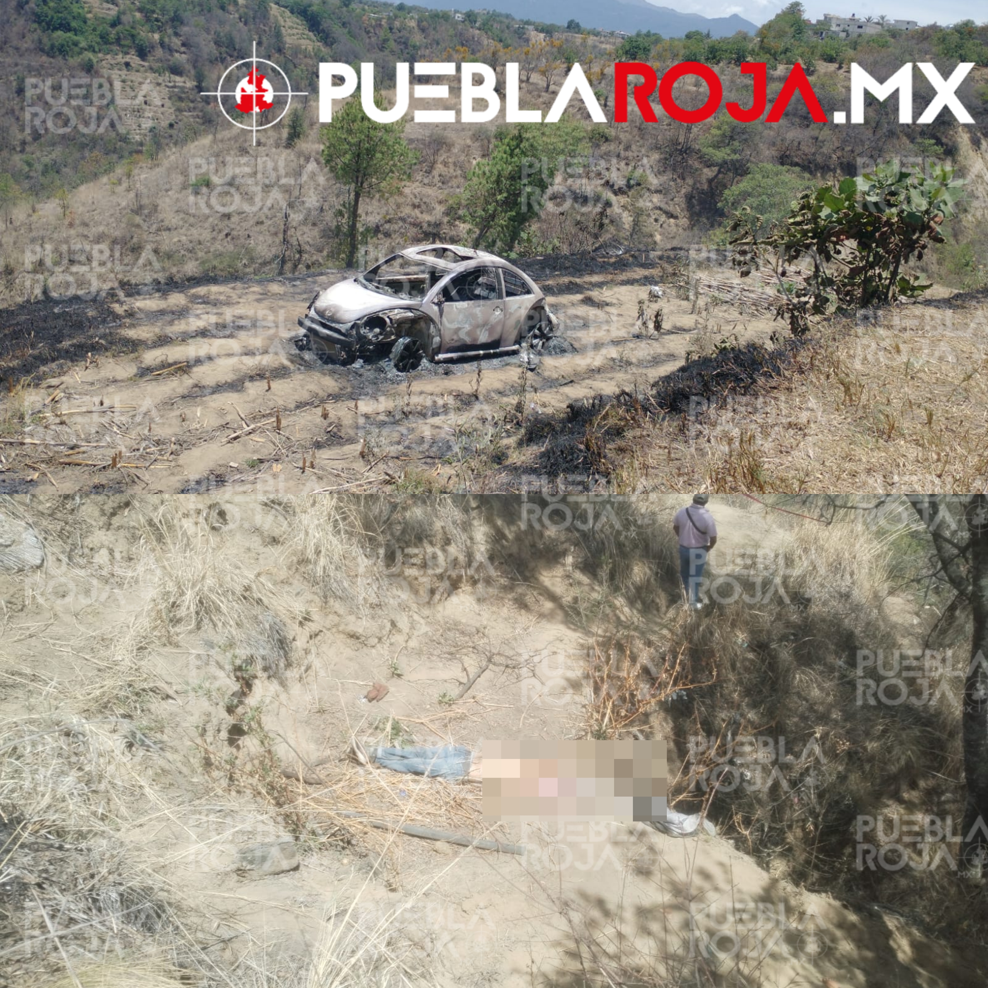 Picsart_24-06-12_15-16-56-886