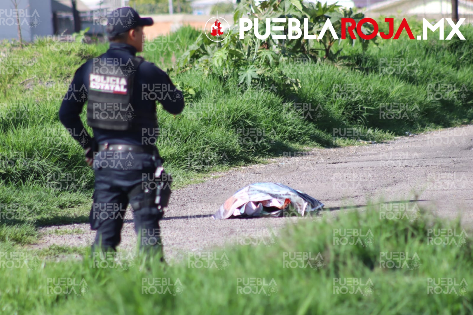 Picsart_24-07-12_16-59-22-253