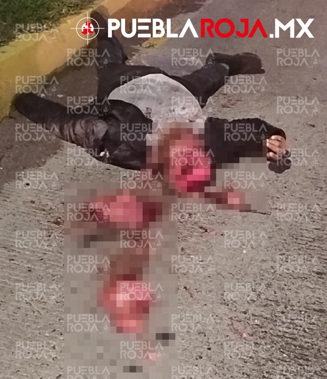 Picsart_24-07-14_21-04-35-445