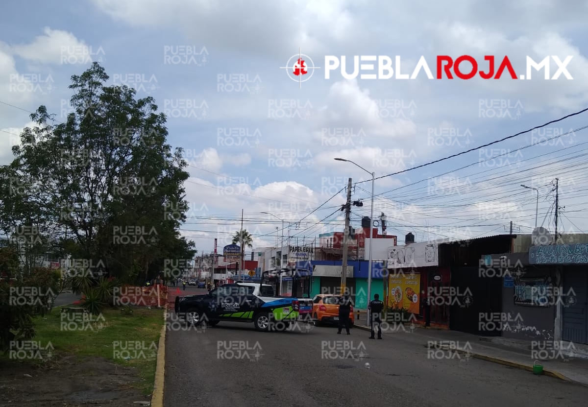 Picsart_24-07-30_12-39-43-219