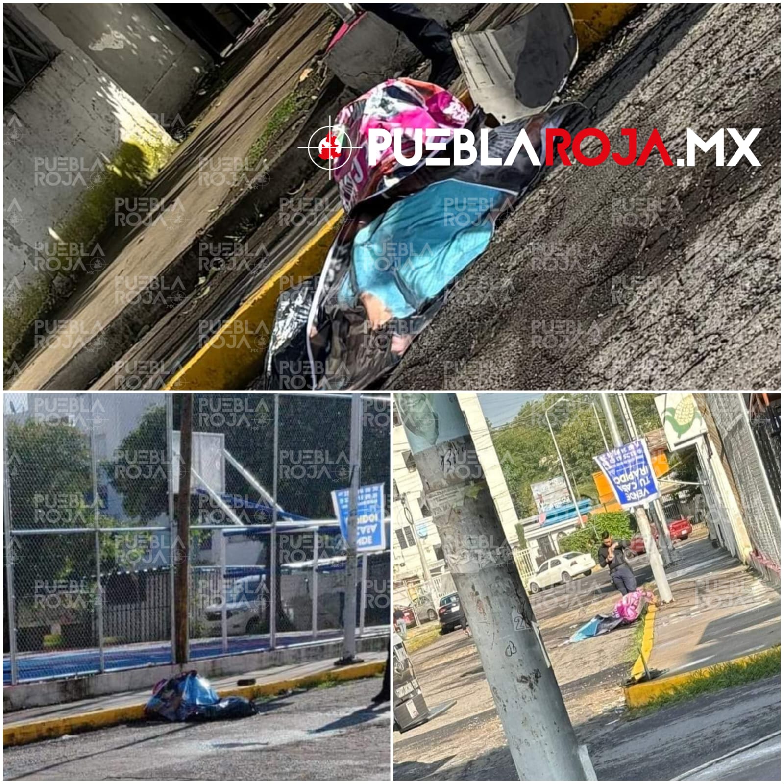 WhatsApp Image 2024-07-25 at 8.49.42 AM