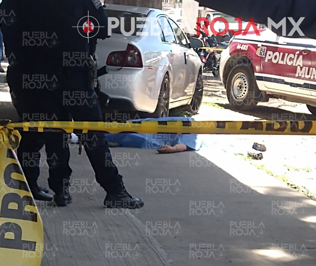 Picsart_24-08-04_21-10-11-905