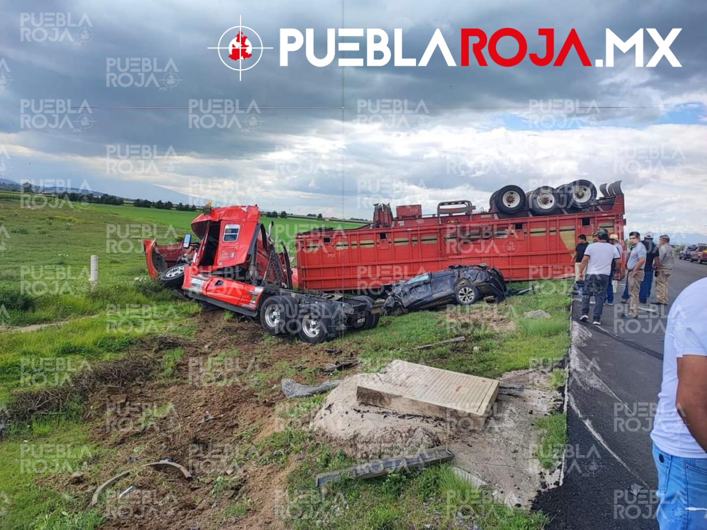 Picsart_24-08-14_20-48-01-702