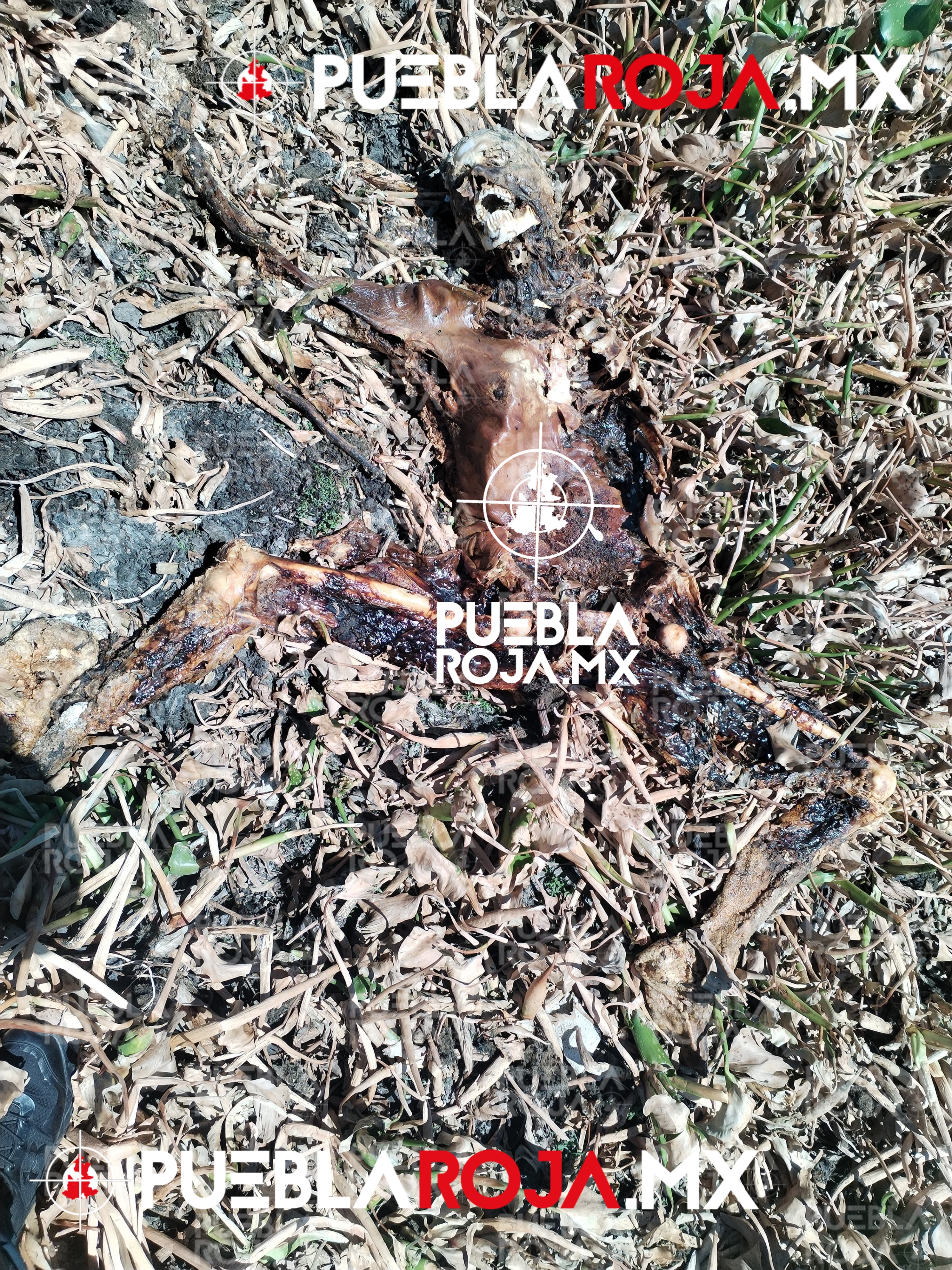 Picsart_24-08-25_20-34-56-441