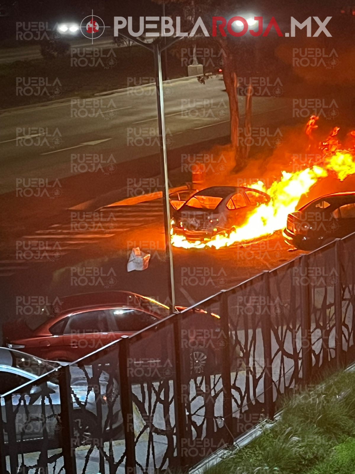 Picsart_24-09-09_15-32-37-434