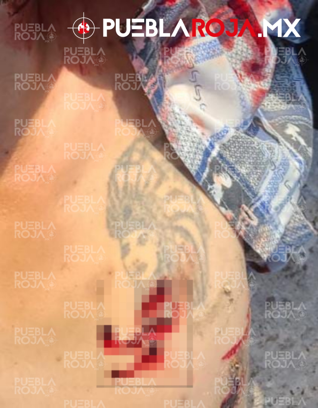 Picsart_24-09-19_18-45-03-043