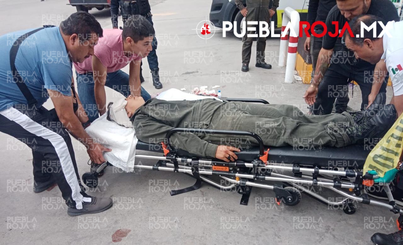 Picsart_24-09-24_08-42-45-293