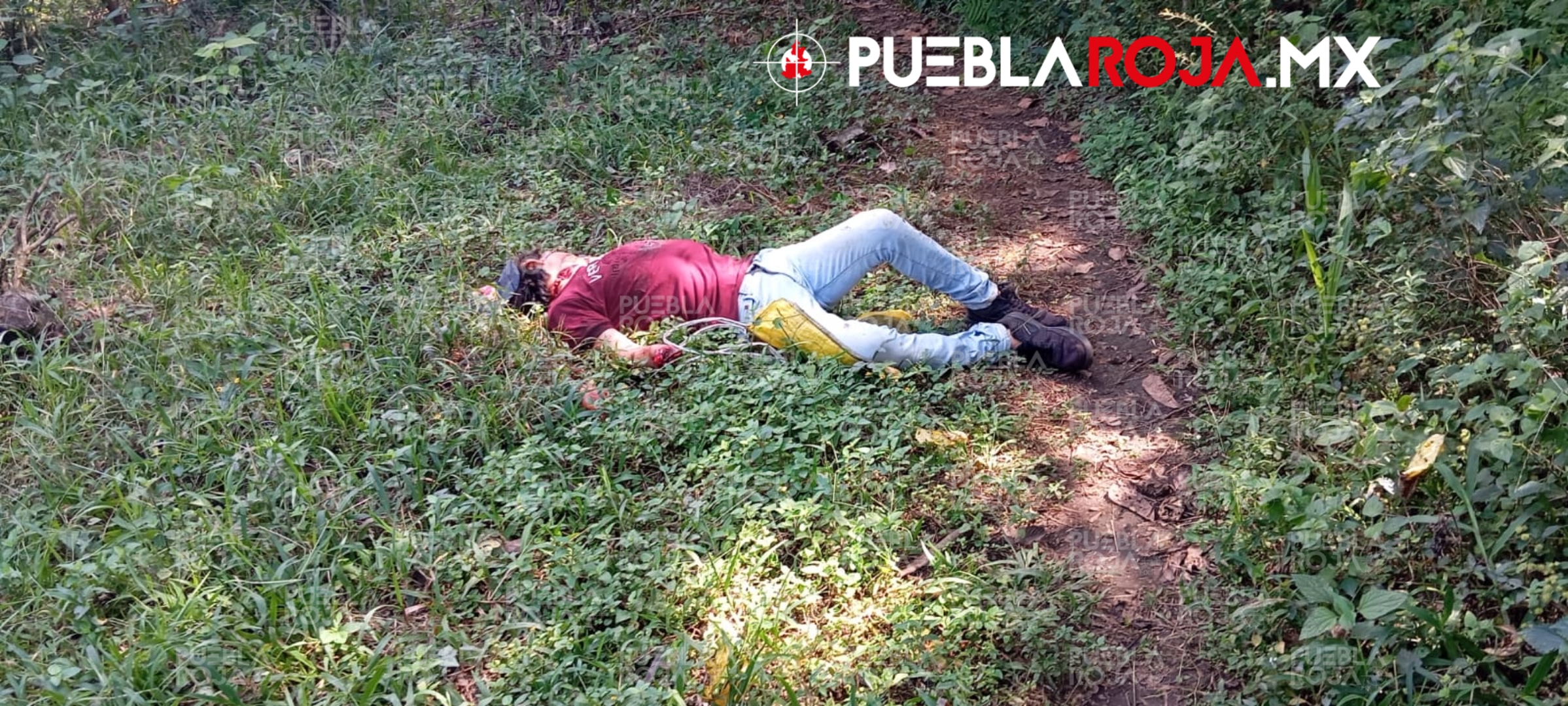 Picsart_24-11-10_16-33-14-460