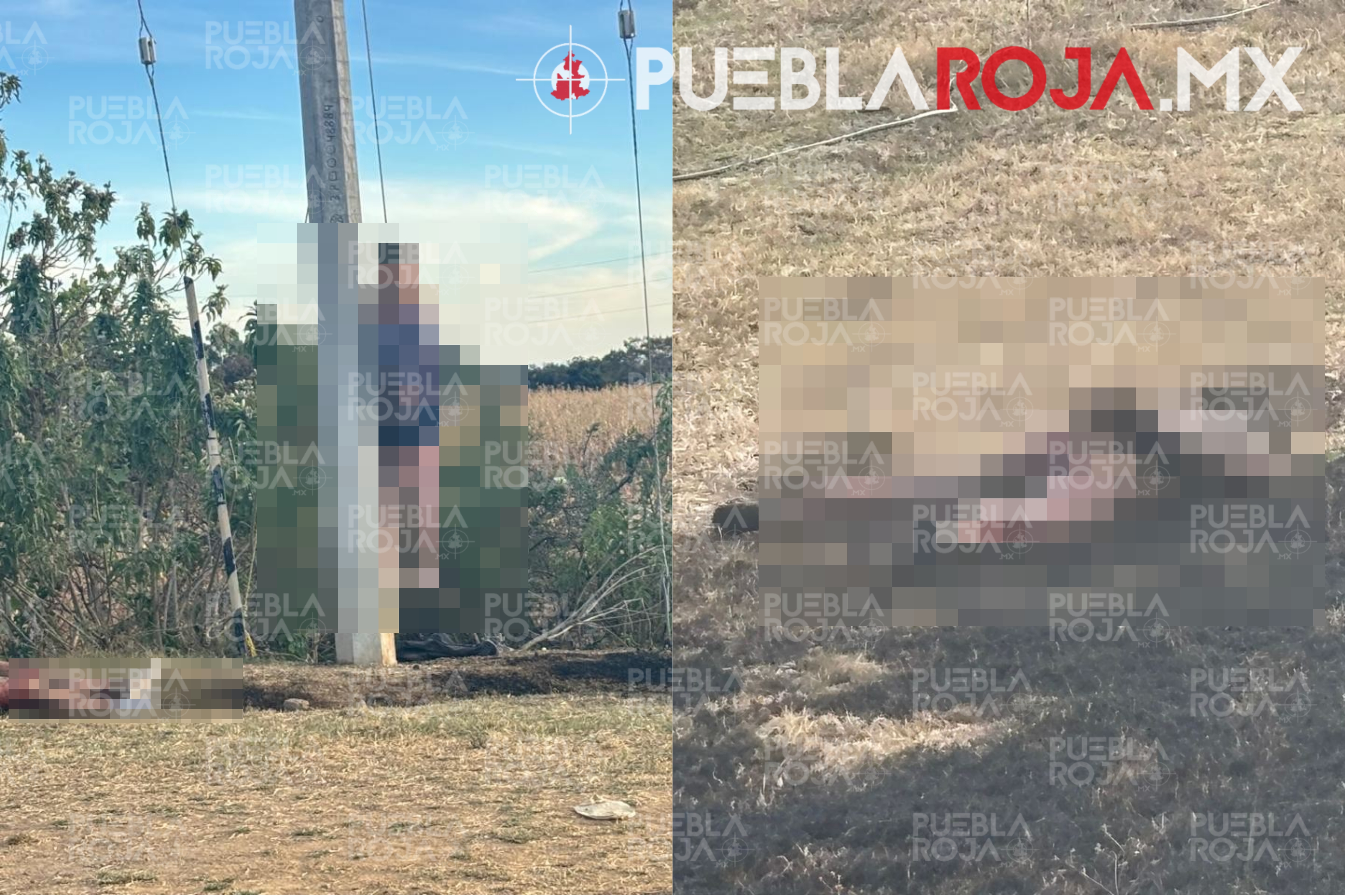 Picsart_24-12-08_15-13-54-339