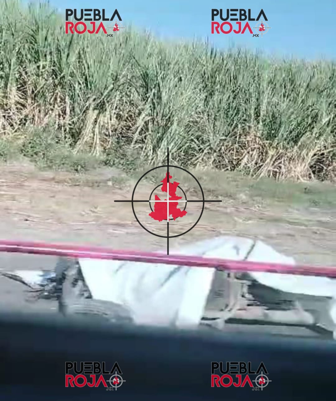 WhatsApp Image 2024-12-07 at 11.53.37 AM