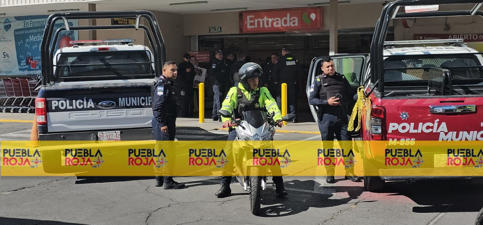 WhatsApp Image 2024-12-12 at 12.01.44 PM