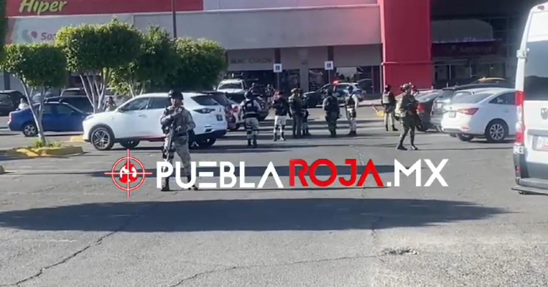 WhatsApp Image 2024-12-12 at 12.38.51 PM