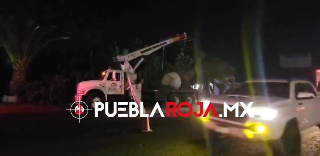 WhatsApp Image 2024-12-13 at 9.29.29 PM