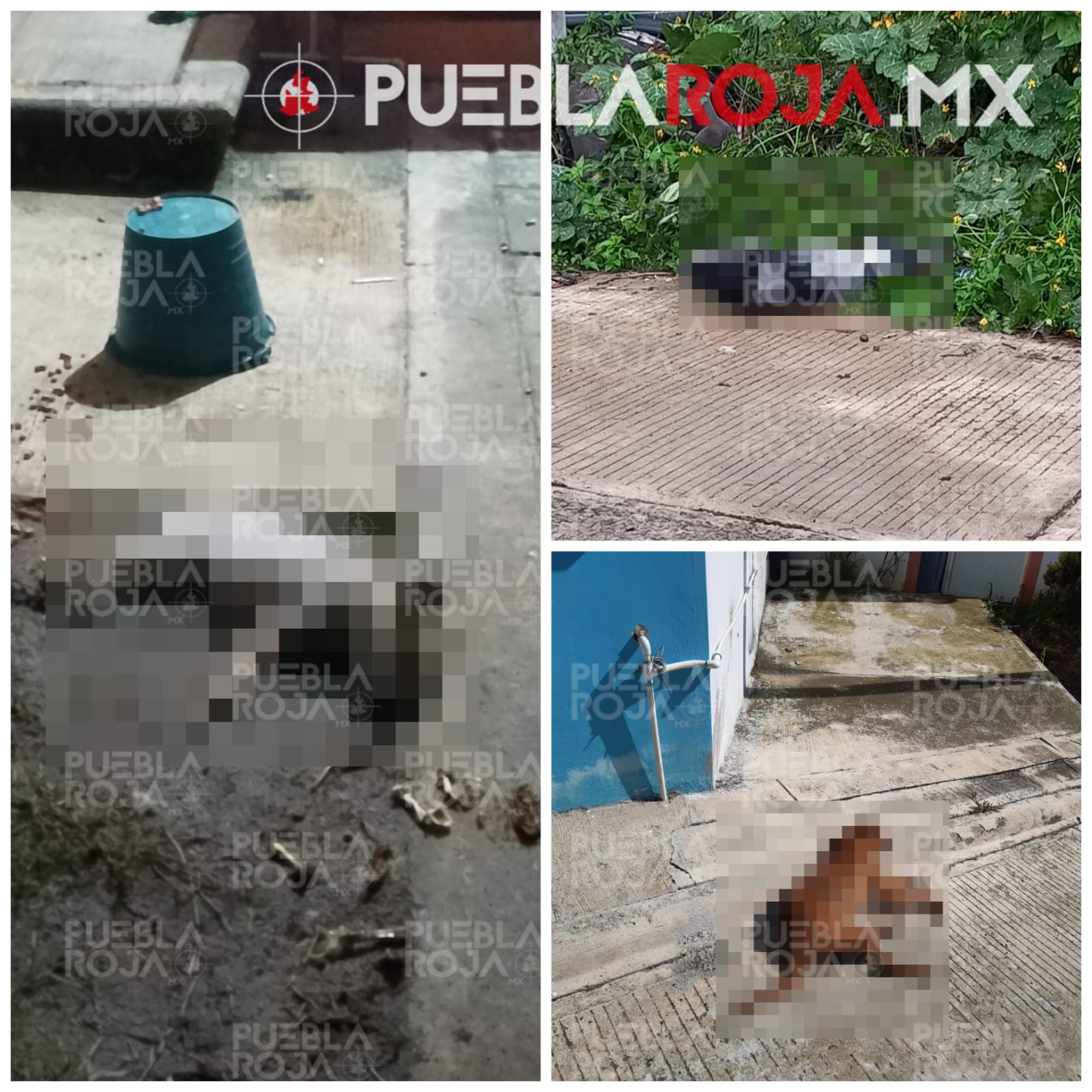 WhatsApp Image 2024-12-19 at 9.02.25 PM