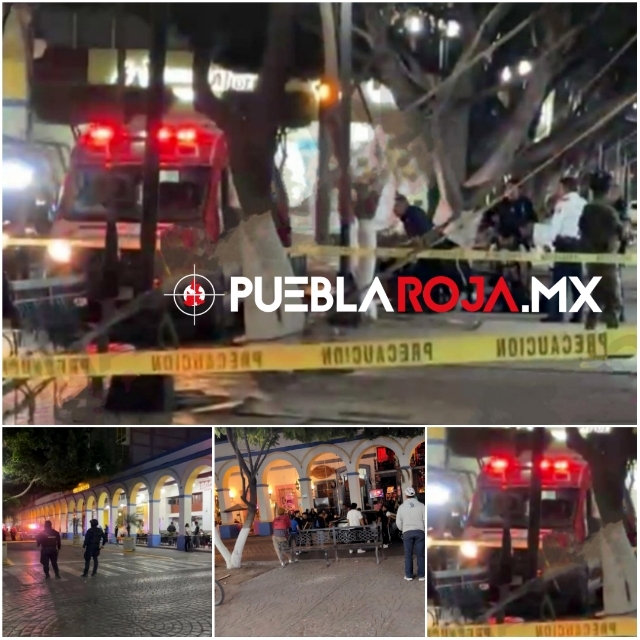 pixlr_20241210060354265