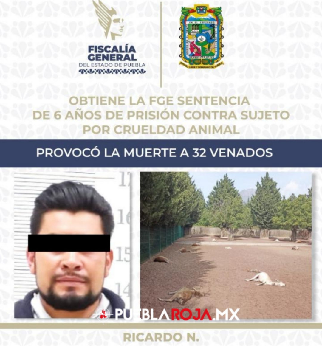 Picsart_25-01-28_19-19-20-123