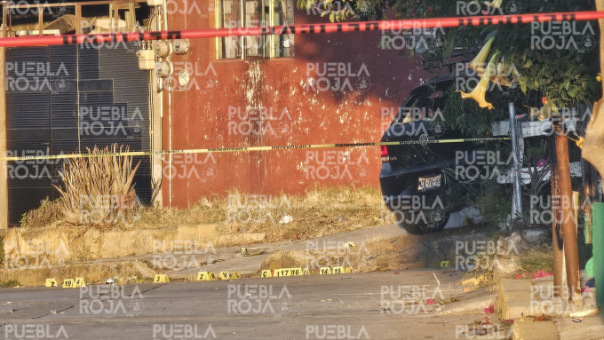 WhatsApp Image 2025-02-05 at 2.17.04 PM