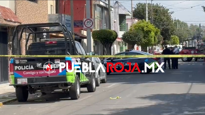 image - 2025-02-17T171126.694