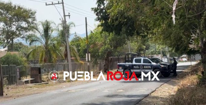 image - 2025-02-17T172410.009