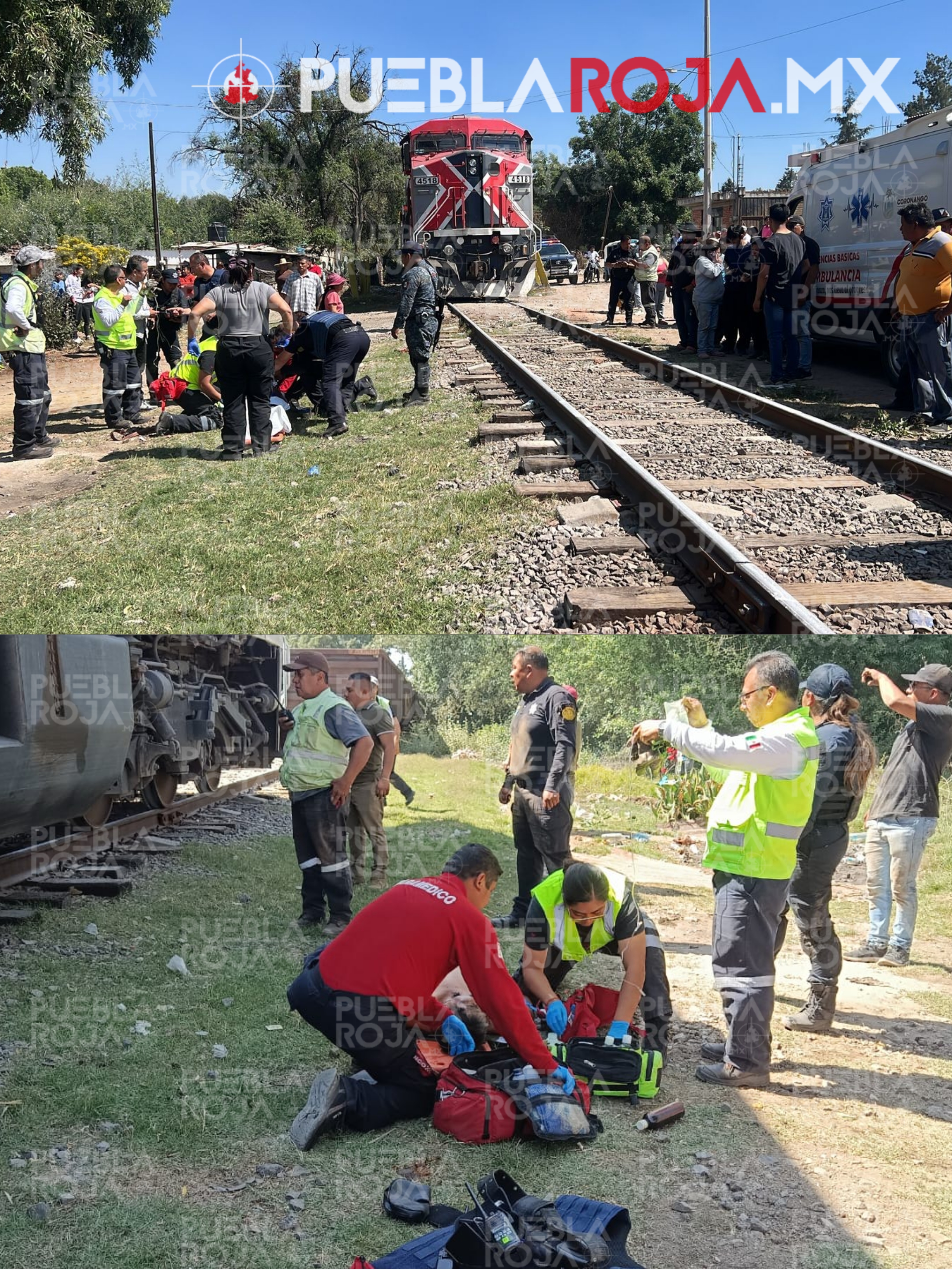 Picsart_25-03-09_19-50-03-324