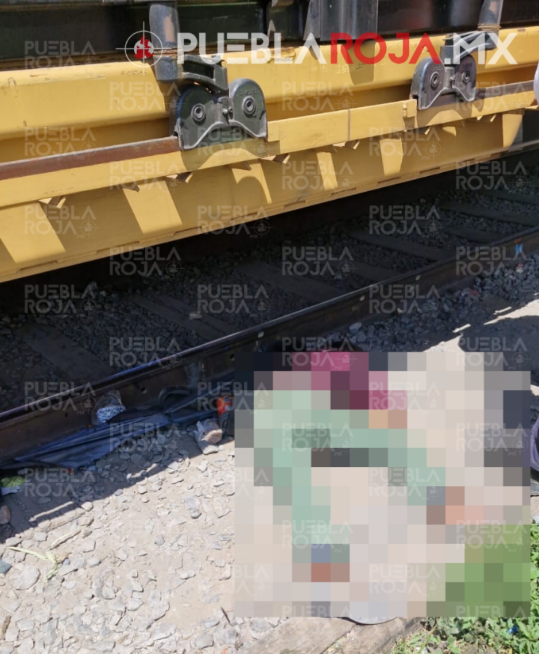 Picsart_25-03-13_15-54-46-160