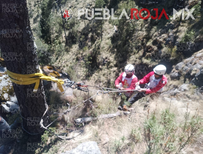 image - 2025-03-17T203802.686