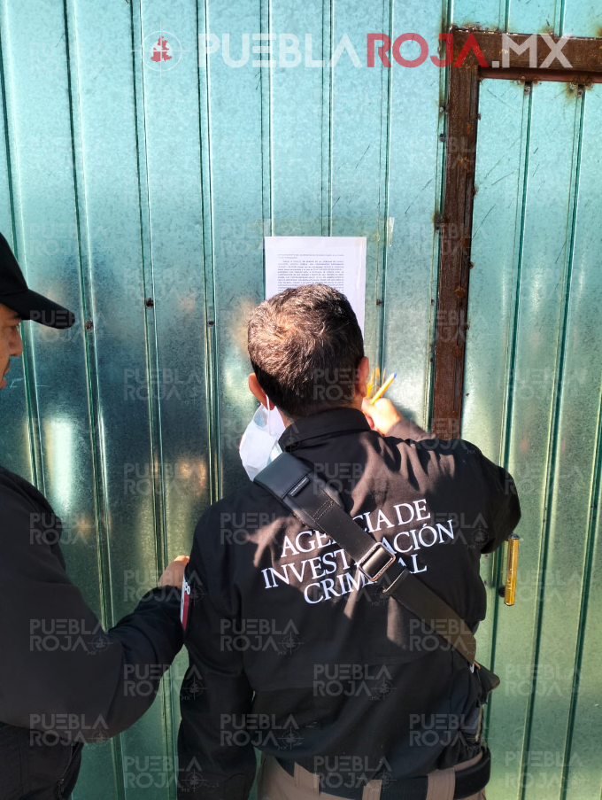 image - 2025-04-01T193936.536