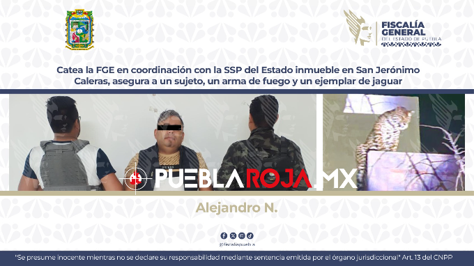 image - 2025-04-03T185339.638