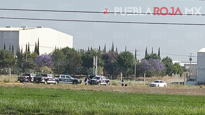 image - 2025-04-06T173455.100