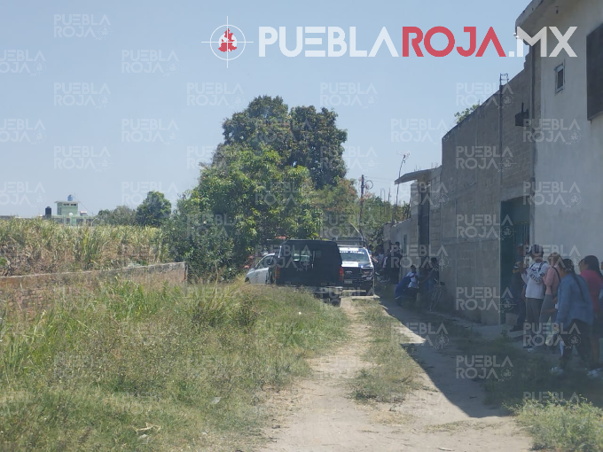 image - 2025-04-10T181932.805