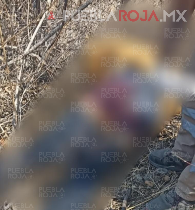 image - 2025-04-16T202405.624