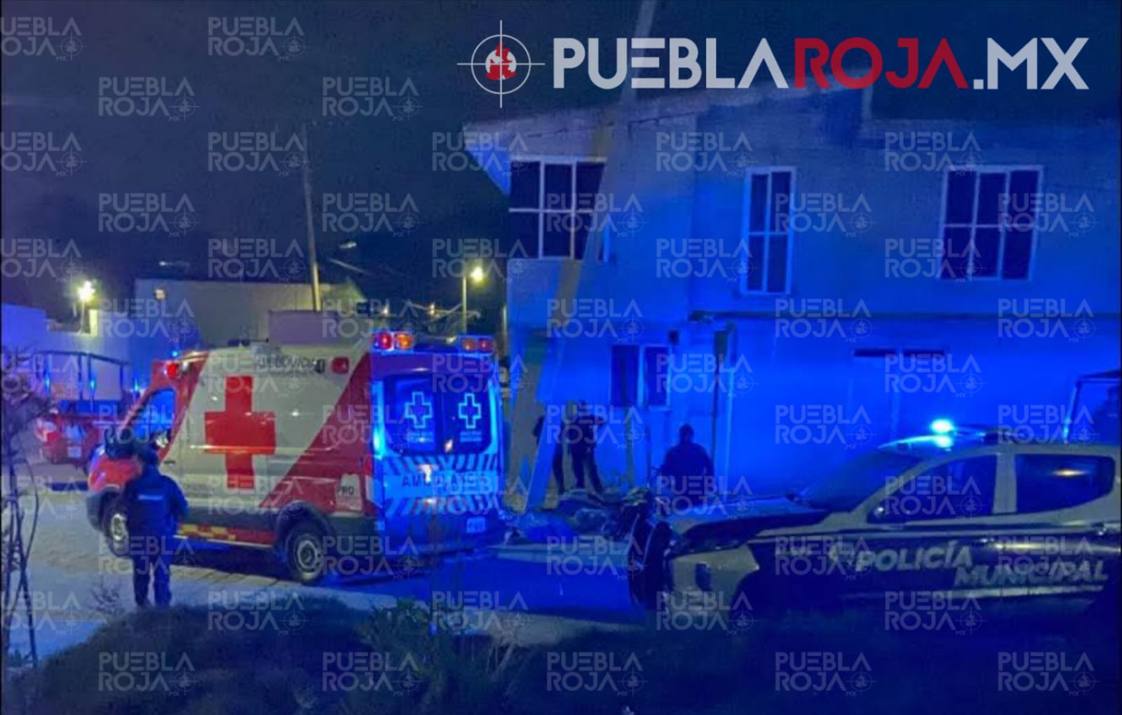 ec9a60f0a54544c9bff88e285b4549f7