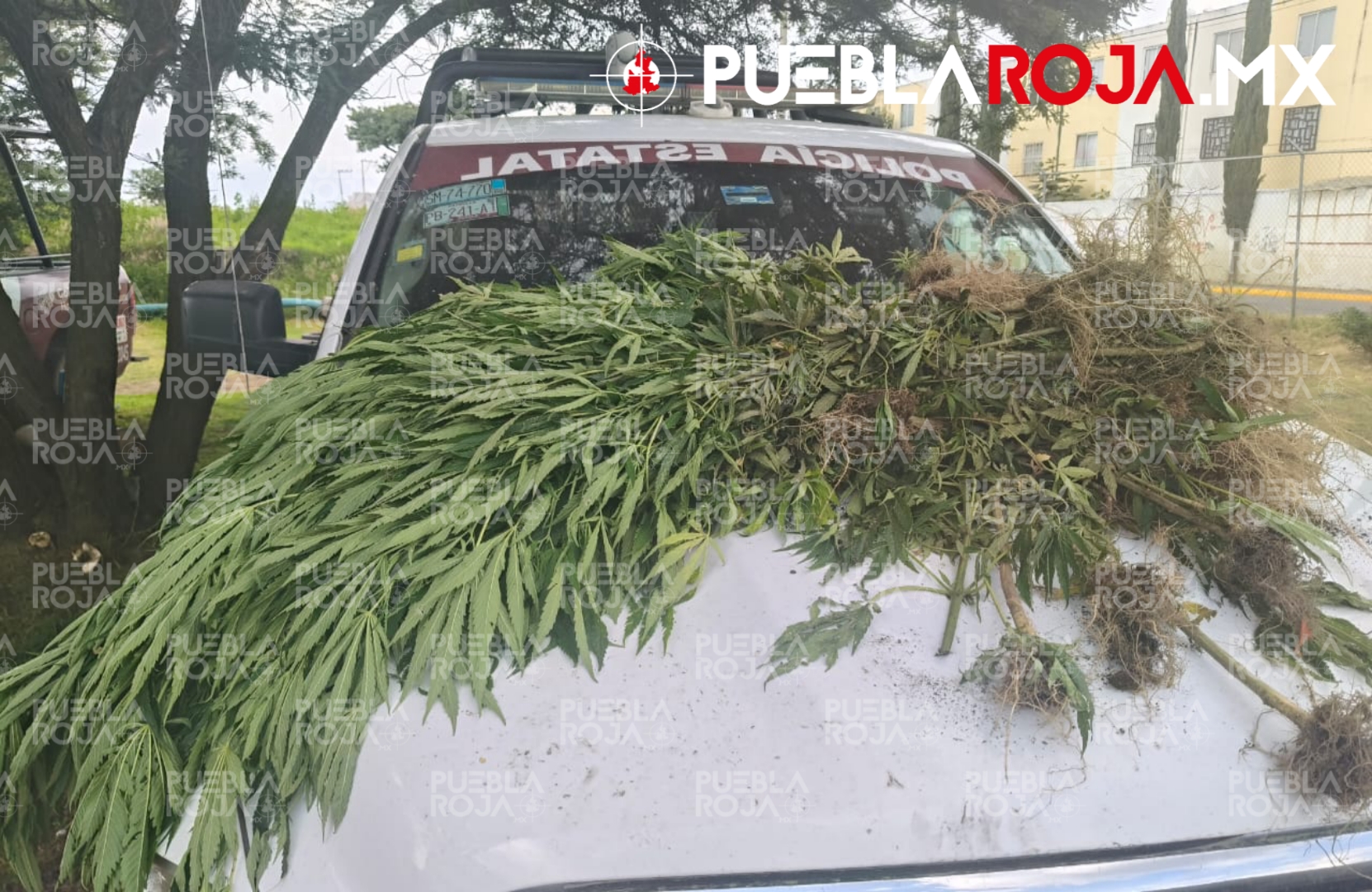 Picsart_25-07-14_08-57-03-067