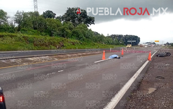 image - 2025-07-27T183809.308