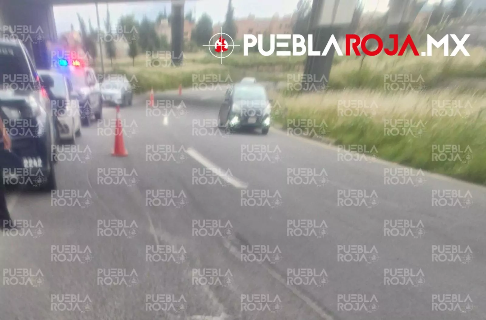 41d189a2-0cd3-47d5-8cff-13c28c02bf9b