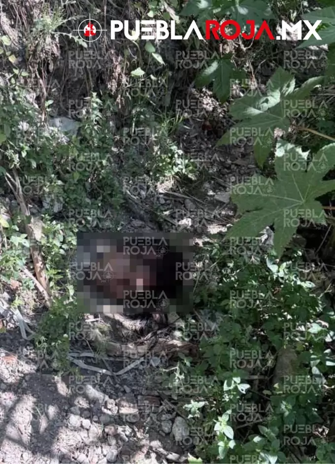 9802FF8D-B397-41D5-8560-36230C391D3E