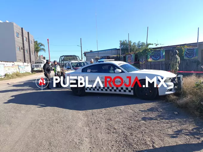 A64760C2-B40D-4325-A464-55055C8E3C03