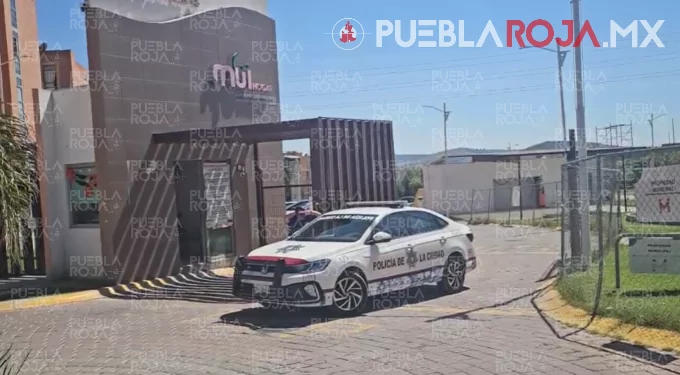 image - 2025-10-27T194743.469