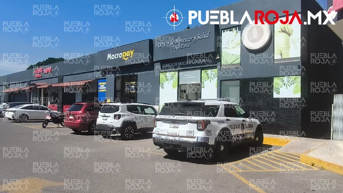 image - 2025-10-28T200604.800